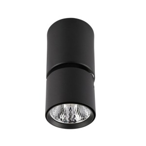 Boniva lampa sufitowa SPL-2854-1-SC-BL