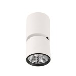 Boniva lampa sufitowa SPL-2854-1-SC-WH