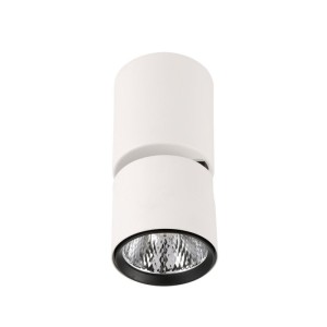 Boniva lampa sufitowa SPL-2854-1-SC-WH
