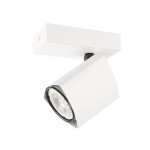 Merusa lampa sufitowa SPL-31970-1B-WH