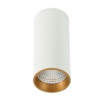 Moldes Big WH/GO Celing 3000K - Lampa natynkowa SLC7392/12W 3000K WH+GO