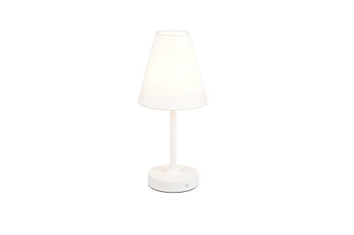 r53621101.jpg