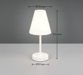 r53621101_d.jpg