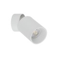 5373_TOP_DOWNLIGHT_WHITE_A.jpg
