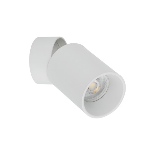 5373_TOP_DOWNLIGHT_WHITE_A.jpg