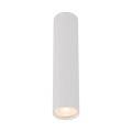 10027_TUNE_WHITE_O.jpg