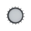 11508_RIBO_GRAY_D_P.jpg