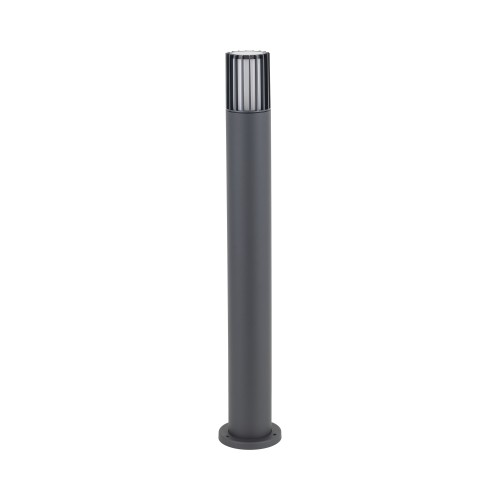 16172_RIBO_GRAY_A.jpg