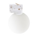 11665_TRACER_WHITE_A.jpg