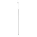11677_TRACER_FERRO_WHITE_A.jpg