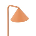 16207_CONO_SALMON_D_G.jpg