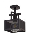 Lampa plafon ALBERT 1  czarny 32178