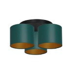 Lampa sufitowa ARDEN 3545