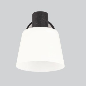Lampa ścienna kinkiet BILOBA czarny 1x40W E14  /  91-49063