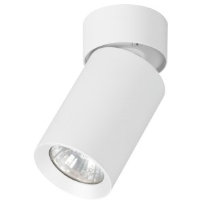 LAMPA REFLEKTOR SUFITOWY ALFA FLEX BIAŁY 1xGU10 /  59026