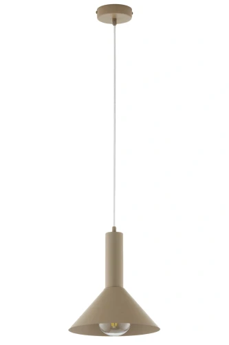 pol_pl_Lampa-wiszaca-VITRUM-stozek-cieply-bez-41544-RAL-1019-15347_2.webp