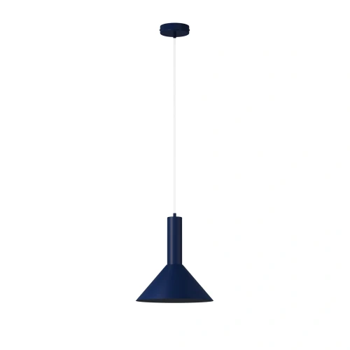 pol_pl_Lampa-wiszaca-VITRUM-stozek-granatowy-41595-RAL-5003-15349_1.webp
