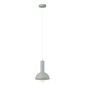 pol_pl_Lampa-wiszaca-VITRUM-KOPULA-S-szalwia-41555-15368_1.webp
