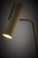 pol_pl_LEDA-lampa-podlogowa-reflektor-RAL-1019-cieply-bez-41535-15338_7.webp