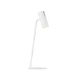 pol_pl_LEDA-lampka-reflektor-bialy-41738-15340_1.webp