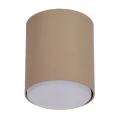 pol_pl_Plafon-Spot-TUBO-M-cieply-bez-41526-15272_2.webp