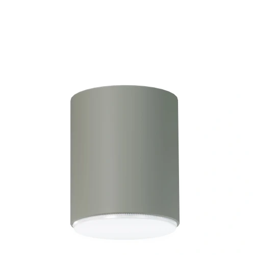pol_pl_Plafon-Spot-TUBO-M-szalwia-41527-15275_1.webp