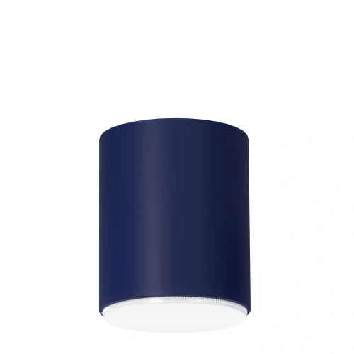 pol_pl_Plafon-Spot-TUBO-M-granatowy-41591-15281_1.webp