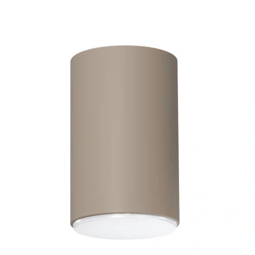 pol_pl_Plafon-Spot-TUBO-L-cieply-bez-41528-15271_1.webp