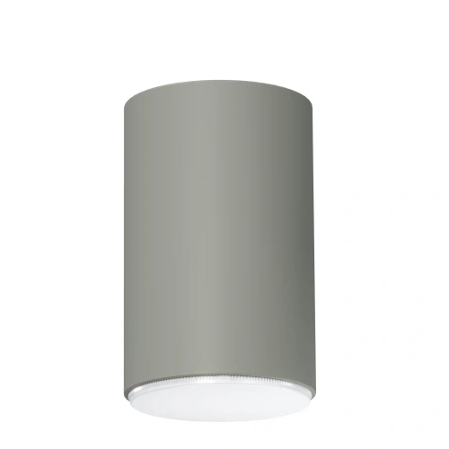 pol_pl_Plafon-Spot-TUBO-L-szalwia-41529-15276_1.webp
