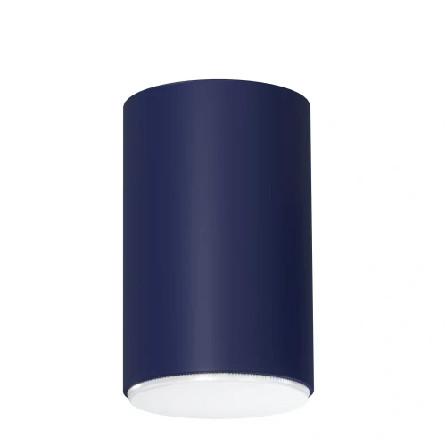 pol_pl_Plafon-Spot-TUBO-L-granatowy-41593-15282_1.webp