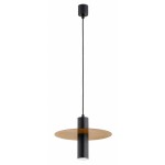 INDUSTRIALNA LOFTOWA LAMPA WISZĄCA ALFRA GREYS CZARNA & ZŁOTA 1xE27 /  61689