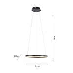 Lampa wisząca RITUS 15393-13 – antracytowa LED