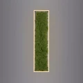 b6f0d30aebaebbcf0a3a388dc257bb8f.webp