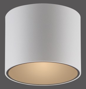 Lampa sufitowa PURE POINT 6761-16 – biała