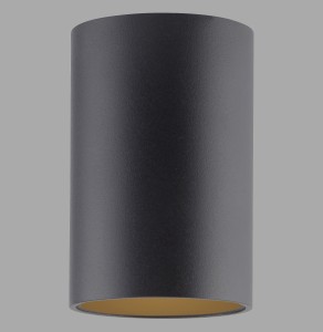 Lampa sufitowa PURE POINT 6749-18 – czarna