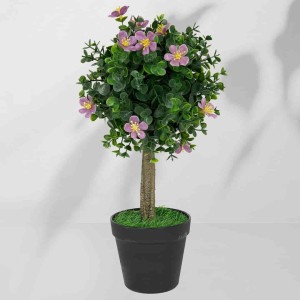 Roślina doniczkowa Drzewko bukszpanowe 5514 40 cm I EKKW2712