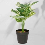 Roślina doniczkowa Monstera ciemna 6406 34 cm I EKKW2720
