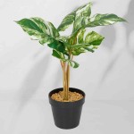 Roślina doniczkowa Monstera jasna 6407 46 cm I EKKW2721
