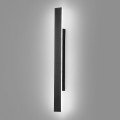 ml2516$d.png