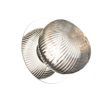 Kinkiet / lampa sufitowa BOLLA SMOKED 3W LED I  ML1431