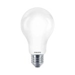 Żarówka LED E27 17,5W 6500K A67 I EKZPH616