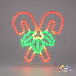 Neon Candy Cane USB-A I EKSW2929