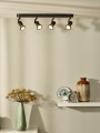 11903-20-30%20sf1.jpg