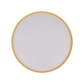 10154_NICOLA_YELLOW_W.jpg