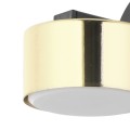6090_DALLAS_GOLD_D.jpg