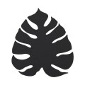4666_MONSTERA_BLACK_A.jpg