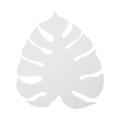 4667_MONSTERA_WHITE_A.jpg