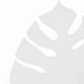 4667_MONSTERA_WHITE_D.jpg
