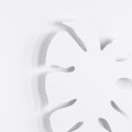 4667_MONSTERA_WHITE_D_1.jpg
