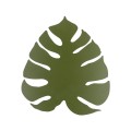 4668_MONSTERA_GREEN_A.jpg